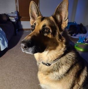 Meet your Posher, Rick